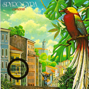 在线a久免费视频
